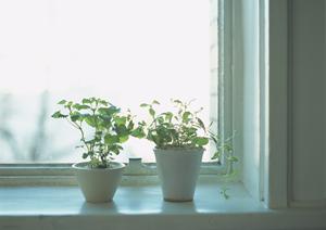 納得できる塗装費用で発注をお考えなら