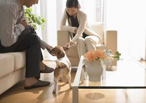 デザイン住宅を建てたいと思うなら