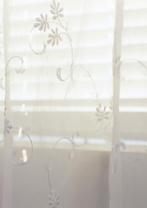 家探しで信頼できる情報を提供するサイト